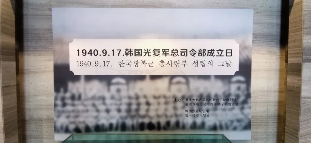 13.webp.jpg